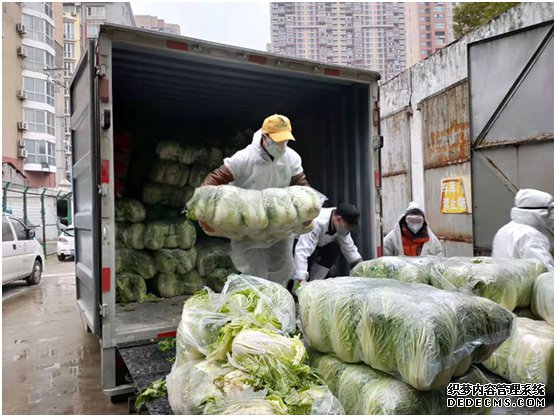 【空包网178】 拼多多100吨蔬果直送武汉4家医院食堂保障4600名医护一个月所需